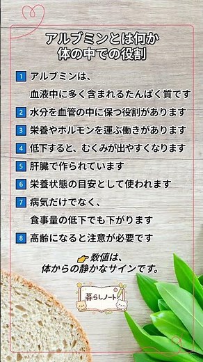 アルブミンとは何か｜体の中での役割