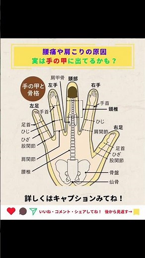 手の甲には、全身の骨格と繋がっているって知ってましたか？頭から首、肩、腰、骨盤まで…実は手の各部位とつながっています。#健康