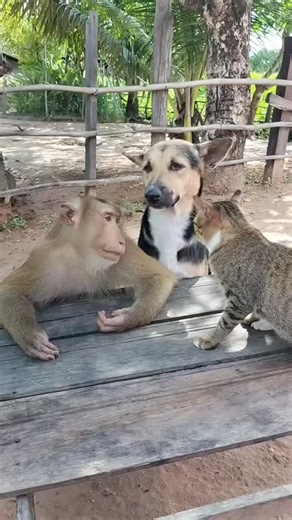 Instagram video by Nature | Vacation | Adventures • Nov 22, 2025 at 10:34 PM