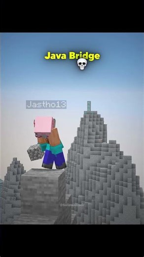 Minecraft Java Bridge VS Bugrock Bridge
