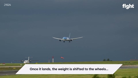 Watch How Much Aircraft Wings Flex During Flight