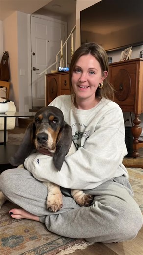 Puppy Dining with Attitude: A Basset Hound's Menu