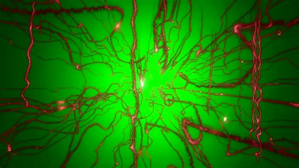 Understanding Neural Networks in Deep Learning