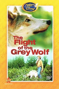 Stream The Flight of the Grey Wolf (1976): Find it on Netflix, Prime Video, Hulu & more