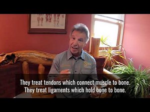 The Foundation of Naprapathy