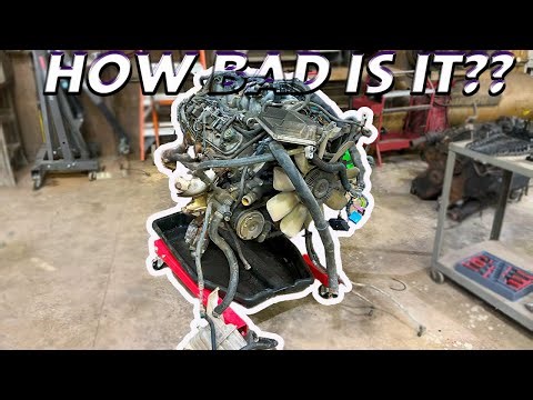 I Tore Apart My 6.0 LS and Found a HUGE Problem!