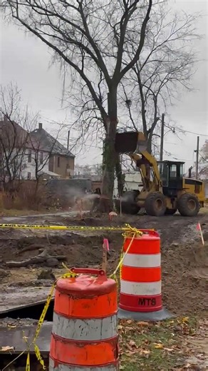 Tree Work Tips for Better Earnings