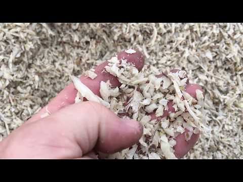 First load of pressed Sugar beet pulp for feed