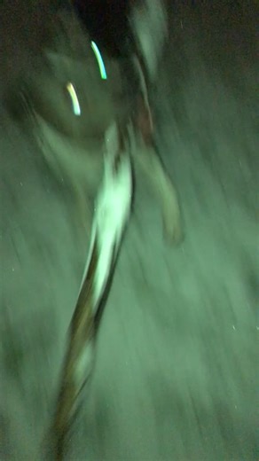 Finding Love: A Journey Through Heartbreak and Healing