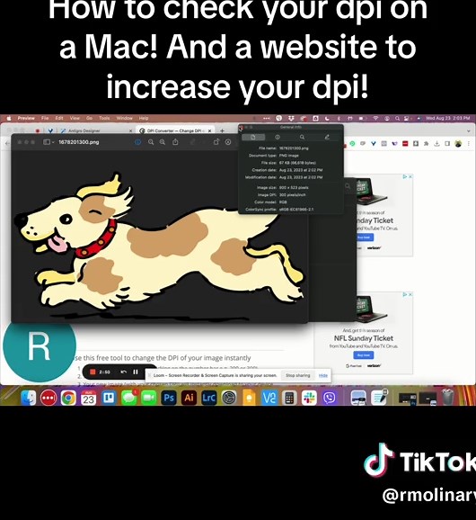 Part 2- How to check your dpi on a mac and how to increase the dpi of your image regardeless if you are using a mac or windows. Be sure to check out part 1! #madeitwithiawoa #dtfprinting #dtftutorials #dtftransfersupplier #dtftransfers #dtfprinter #dtfhowto #fypシ