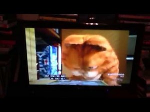 Garfield's rescue decision & he haves snacks for his work