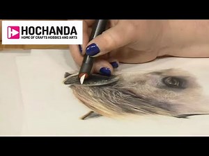 Art Tools, Craft Essentials and more Tutorials at Hochanda Today!