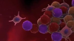 Stem Cell Animation Explainer