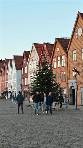 🧡 Frode Hellebø er ny nestleder i Bergenslisten! Han tar med seg et tydelig engasjement for helse- og sosialfeltet, og brenner for en kommune som møter folk med trygghet, nærhet og gode tjenester – i alle bydeler. #Bergenslisten #Bergen #Politikk | Bergenslisten