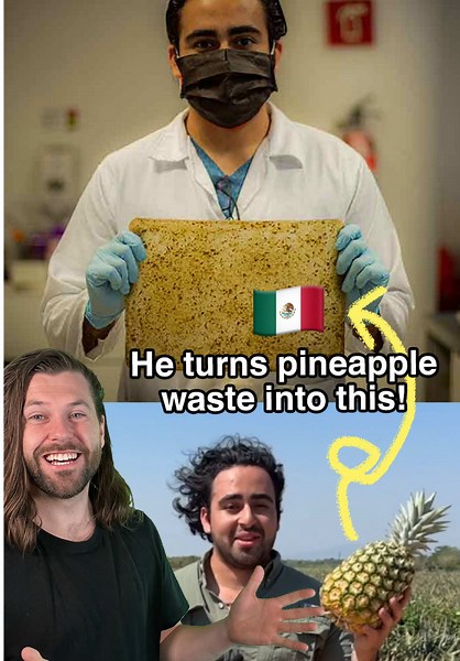 This guy in Mexico, found a way to turn pineapple waste into a cotton-like fibre that can be used to create paper, textiles, insulation and more! This is Adolfo, and after hearing about how much pineapple goes to waste in Latin America, he came up with an idea! He created Celunova, a material that swaps tree-based cellulose, the plant fibre used to make things like paper and packaging, with fibres made from pineapple waste instead. It helps put fruit waste to good use, while also preventing tree