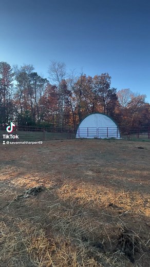 Exciting Mustang Moments: Riding, Jumping, and Falling