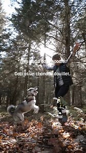 1.2K views · 15 reactions | Sweater weather in New Brunswick is...