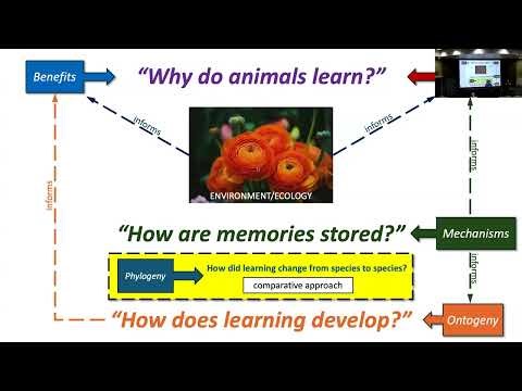 BIO 331: LectureC1 (2025-09-11): Foundations of Learning and Memory