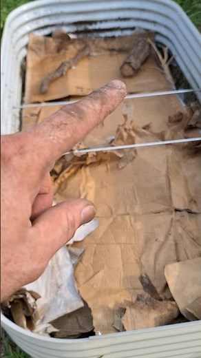 Cuttings cost on filling a vego garden bed.