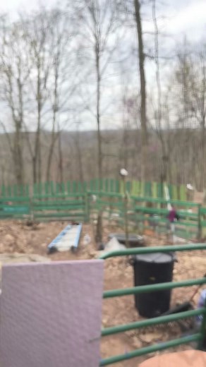 🩵 sigh 😌#offgrid #offgridmisty #homesteading #seedlings #gardening #tinyhomestuff #springtime