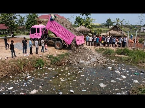 Complete100% Fill Dirt In Flooded land by Bulldozer and 8 T Dump Truck Unloading Soil
