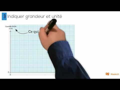 Construire un graphique sur papier millimétré Maskott