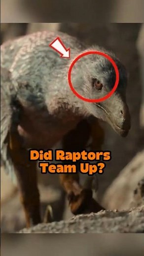 Why Did Raptors Hunt in Packs? 🦖 #velociraptors #deinunychus #raptors