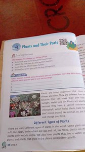 Observation Question: Note Down Different Plants Around YouTa... | Filo