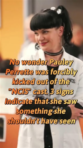 Pauley Perrette | NCIS Fan