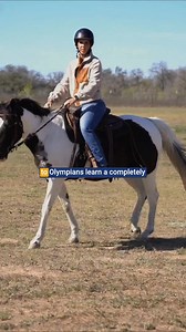 20K views · 13 reactions | Ever feel like you're rolling the dice every time you ride? It comes down to one crucial skill: keeping your horse's mind connected to you under pressure. Learn how to: • Lead with confidence • Redirect fear before it escalates • Prevent sudden blow-ups Join our FREE live training on Dec 1st or 2nd and take control of your rides! https://steadyhorse.com/nfo_opt_in | Steady Horse | Facebook