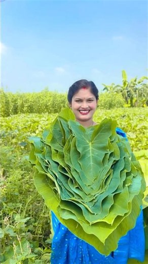 Secret village Recipe:Taro Leaf Mash with garlic & Nigelle #shorts #trending #yotubeshorts #cooking