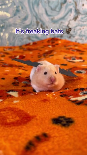 Freakin' Bats: A Spooky Hamster Compilation