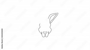 Animation of one single line drawing of cute kangaroo head for business logo. Wallaby animal from Australia mascot concept for company icon. Continuous line self draw animated. Full length motion.
