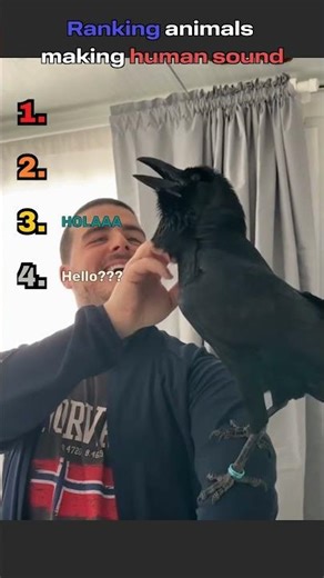 Ranking Animals That Sound EXACTLY Like Humans! 🤣🗣️