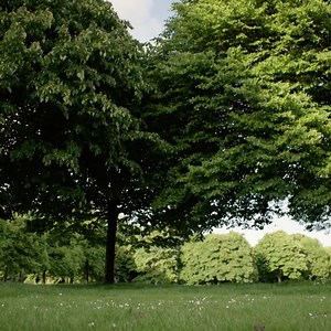 I'm howling at this 🤣 Greg Davies is just about the happiest, most joyous man in the world | Greg Davies Fans