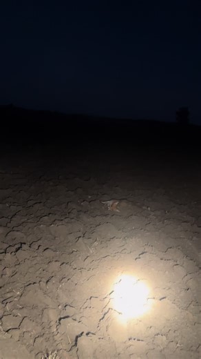 #farmlife #ai #allfake