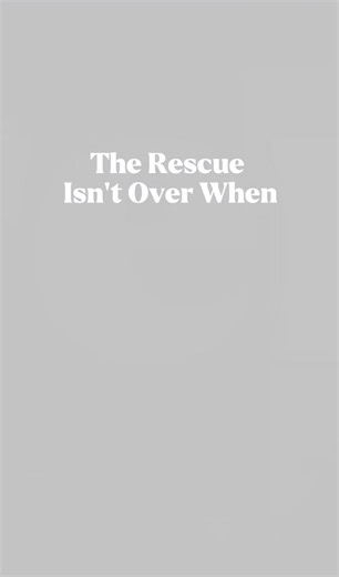 Behind the Scenes of Biohazard Remediation