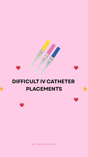 How I tackle difficult IV catheter placements now after years of experience….. I do things differently now 👇🏼❤️🐾 1. I look away… then come back 👀 A fresh set of eyes honestly changes everything, literally.💓 2. I fix the lighting. 💡 Bad lighting will gaslight you into thinking there’s no vein 😅 Also if you have a large dog that is casting its own shadow over your IV leg, this makes it dark and difficult! 3.I hold up the vein myself. ✋🏼 Sometimes I like to hold up / roll the vein myself so