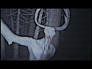 Recovered Footage of SCP 323 The Wendigo