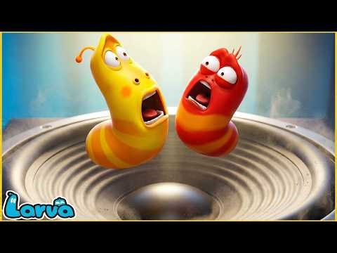 What Happened To Larva?! 🔊😱 Larva Speaker Dance - Funny Larva Cartoon 2026