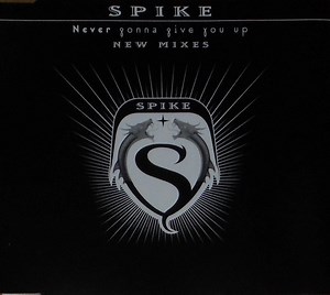 Spike – Never Gonna Give You Up (New Mixes) (2000, CD)