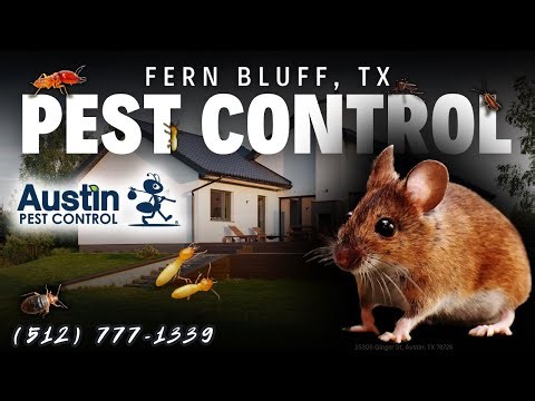 Fern Bluff, TX Pest Control Service (512) 777-1339 - Austin Pest Control