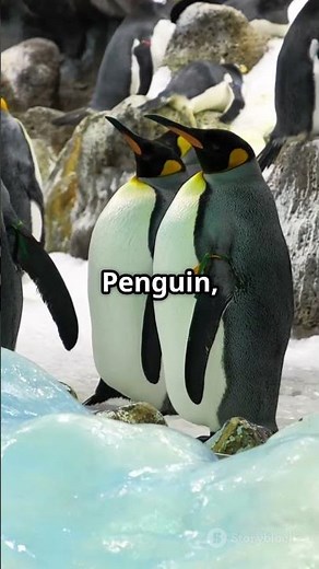 How Penguins Stay Warm in Ice – 15 Incredible Adaptations #amazinganimals #animals #wildlife