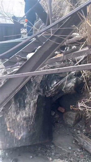 POV: bull dogs drooling🤤