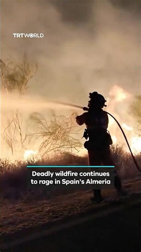 Spanish firefighters battle deadly Almeria wildfire for second day