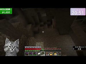 Minecraft test (Java Edition 1.21.8)