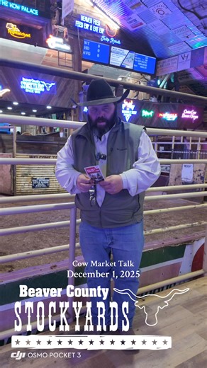 6.3K views · 73 reactions | Layne Covers how the Cow Market held up this week at Beaver! #beavercountystockyards #cowmarket #cattle | Beaver County Stockyards | Facebook