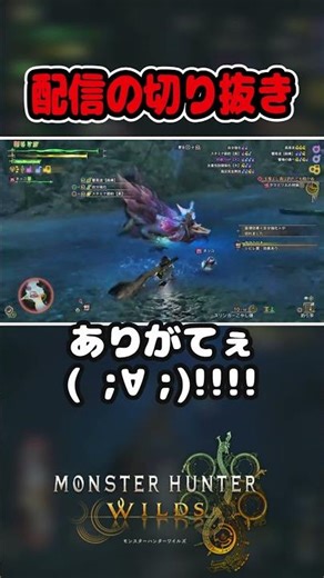 【MHWilds】タマミツネとの激闘