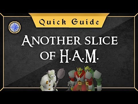 [Quick Guide] Another slice of H.A.M.