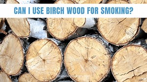 Can I use birch wood for smoking? Silver birch is a good choice